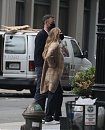 Filename=14.jpg
Filesize=921KiB
Dimensions=2121x1414
Date added=Oct 08, 2020 14.jpg