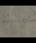102.png