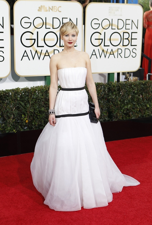 71st_Annual_Golden_Globe_Awards_-_Red_Carpet__red_carpet_283329.jpg