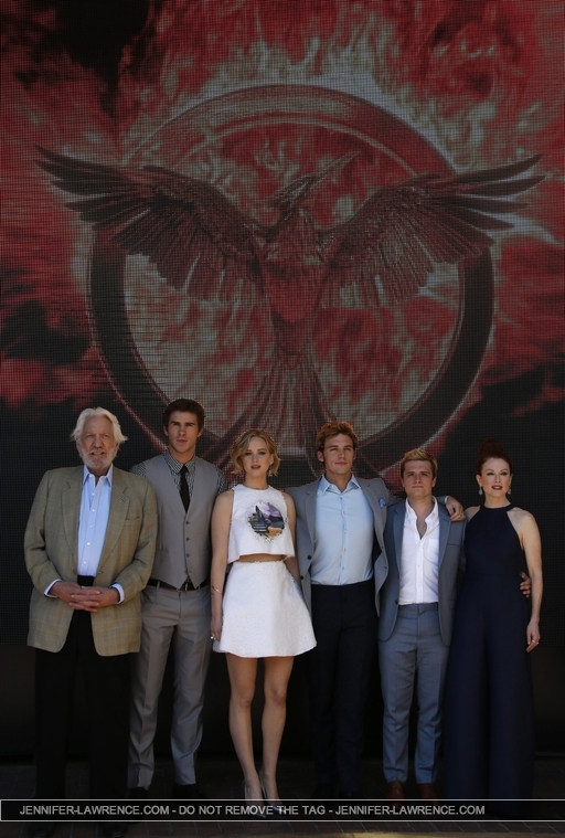 GROUP_May_17_-__Mockingjay_Part_1__photocall_at_Cannes_in_France_283229.jpg