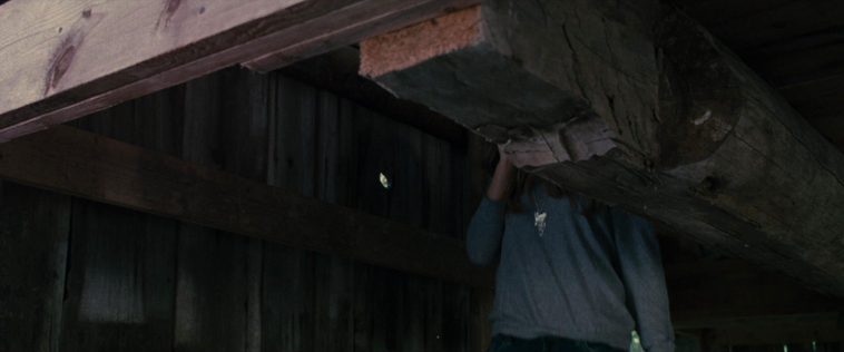 House_at_the_End_of_the_Street__28129929.jpg