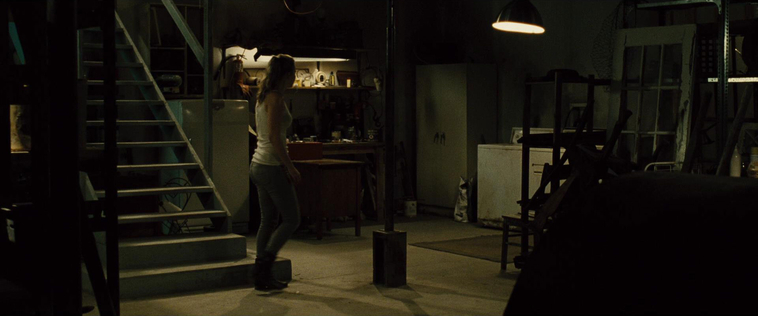 House_at_the_End_of_the_Street__28145629.jpg