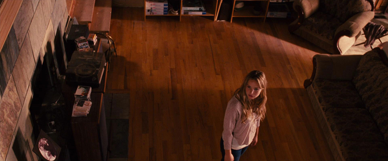 House_at_the_End_of_the_Street__2868129.jpg