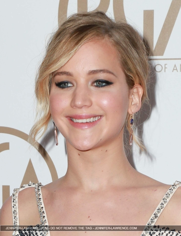 January_24_-_26th_Annual_Producers_Guild_Awards_28529.jpg