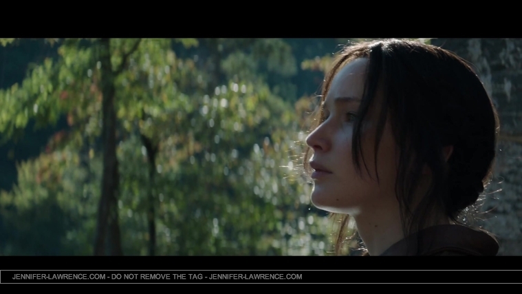 Mockingjay_Trailer_2845929.jpg