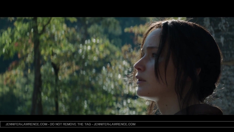 Mockingjay_Trailer_2846829.jpg