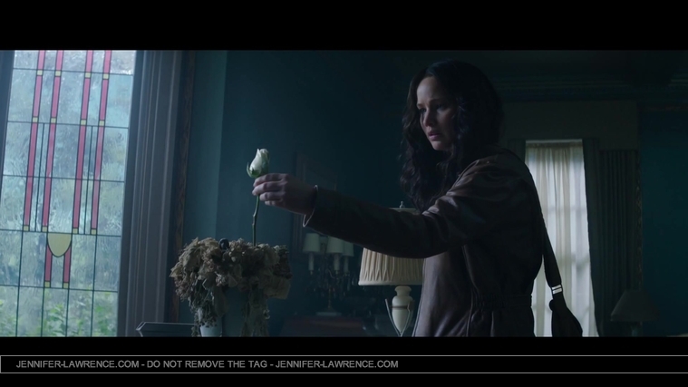 Mockingjay_Trailer_2859029.jpg