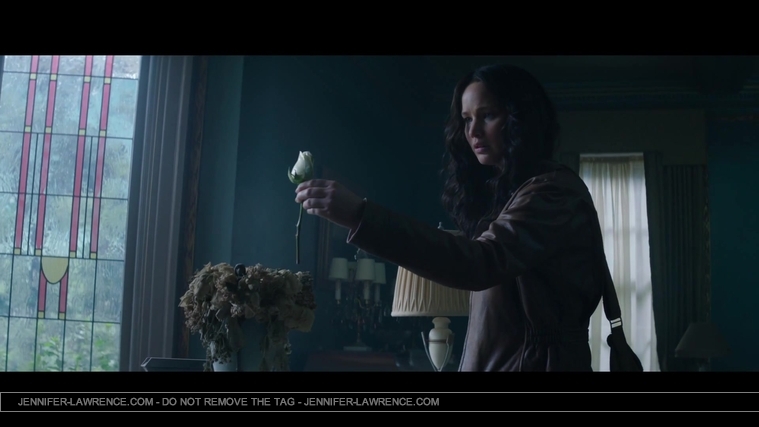 Mockingjay_Trailer_2860329.jpg