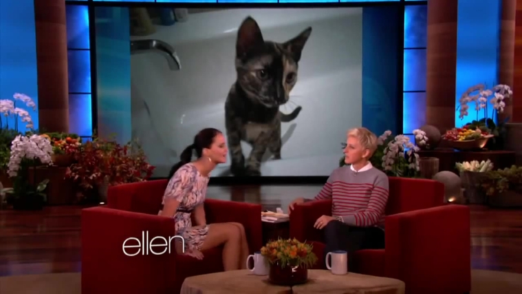 November_212C_2012_-__The_Ellen_DeGeneres_Show_28115329.jpg