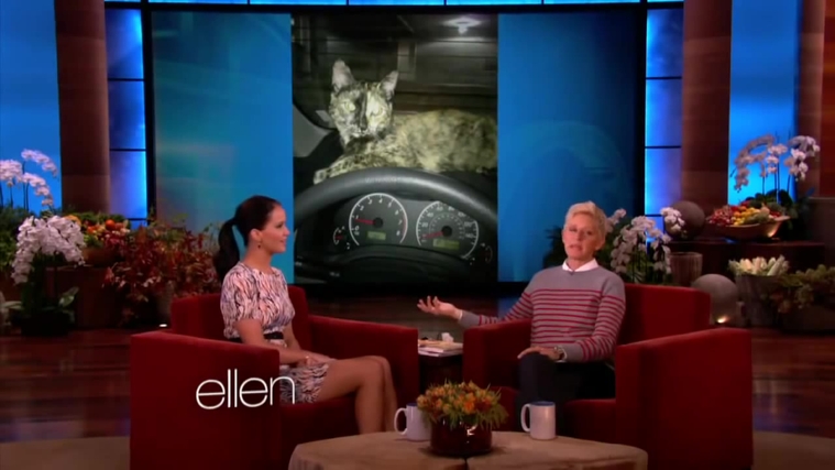 November_212C_2012_-__The_Ellen_DeGeneres_Show_28116829.jpg
