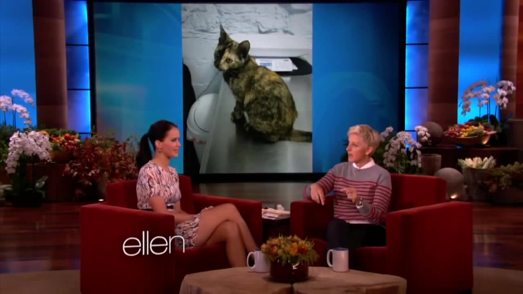 November_212C_2012_-__The_Ellen_DeGeneres_Show_28124029.jpg
