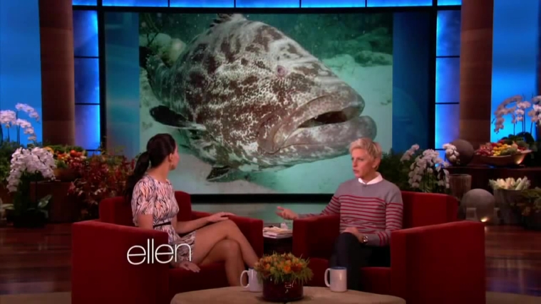November_212C_2012_-__The_Ellen_DeGeneres_Show_2872629.jpg