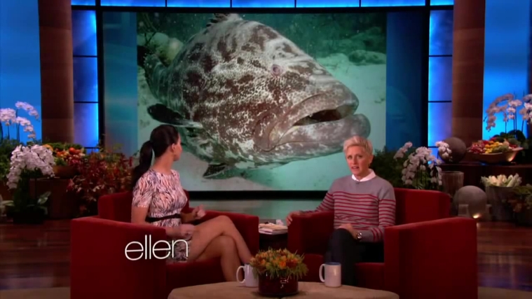 November_212C_2012_-__The_Ellen_DeGeneres_Show_2873629.jpg
