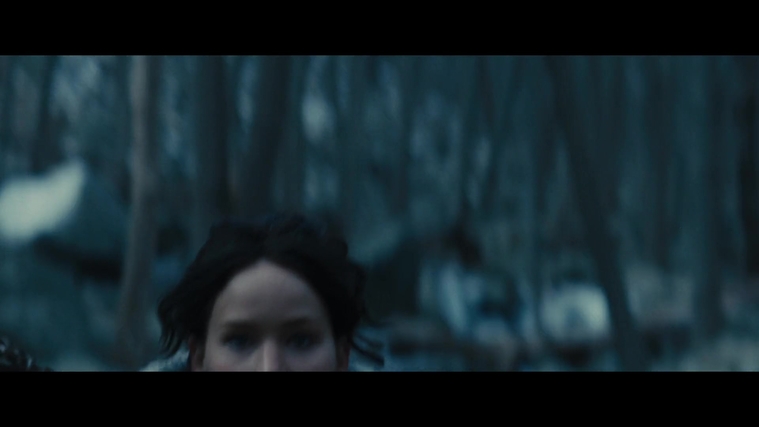The_Hunger_Games_Catching_Fire_2013_1080p_BluRay_x264_AAC_-_Ozlem_00193.jpg