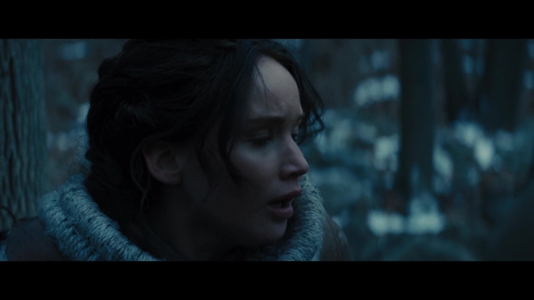The_Hunger_Games_Catching_Fire_2013_1080p_BluRay_x264_AAC_-_Ozlem_00246.jpg