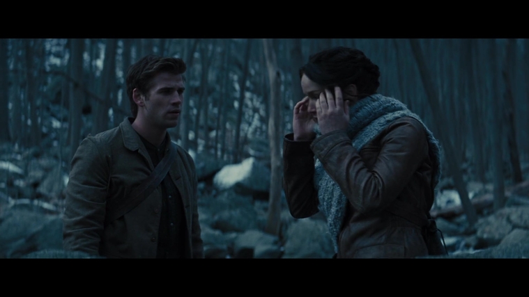 The_Hunger_Games_Catching_Fire_2013_1080p_BluRay_x264_AAC_-_Ozlem_00258.jpg