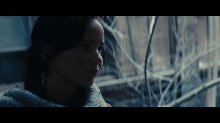 The_Hunger_Games_Catching_Fire_2013_1080p_BluRay_x264_AAC_-_Ozlem_00308.jpg