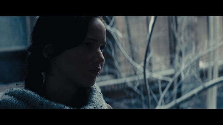 The_Hunger_Games_Catching_Fire_2013_1080p_BluRay_x264_AAC_-_Ozlem_00309.jpg