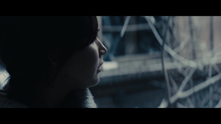 The_Hunger_Games_Catching_Fire_2013_1080p_BluRay_x264_AAC_-_Ozlem_00359.jpg