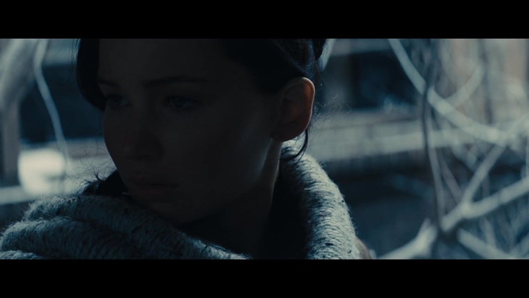 The_Hunger_Games_Catching_Fire_2013_1080p_BluRay_x264_AAC_-_Ozlem_00374.jpg