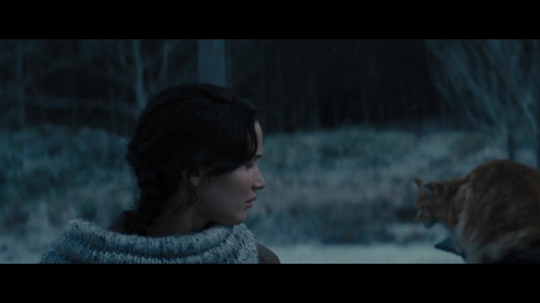 The_Hunger_Games_Catching_Fire_2013_1080p_BluRay_x264_AAC_-_Ozlem_00390.jpg