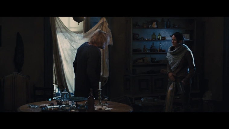 The_Hunger_Games_Catching_Fire_2013_1080p_BluRay_x264_AAC_-_Ozlem_00445.jpg