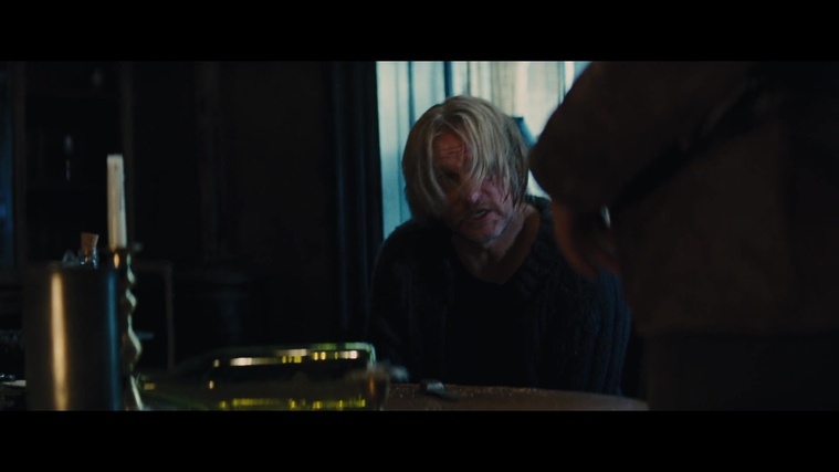The_Hunger_Games_Catching_Fire_2013_1080p_BluRay_x264_AAC_-_Ozlem_00459.jpg