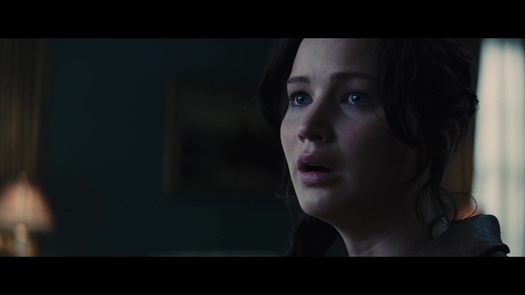 The_Hunger_Games_Catching_Fire_2013_1080p_BluRay_x264_AAC_-_Ozlem_00840.jpg