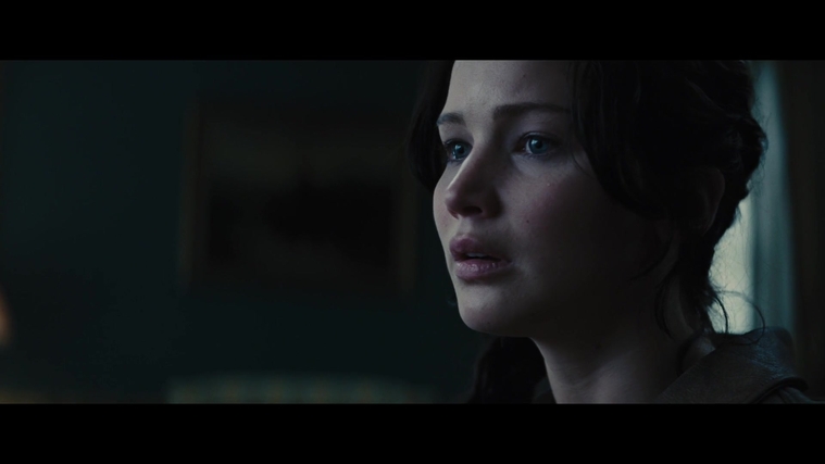 The_Hunger_Games_Catching_Fire_2013_1080p_BluRay_x264_AAC_-_Ozlem_00847.jpg