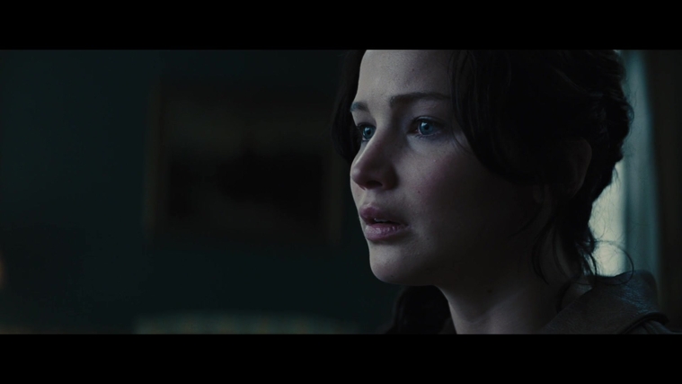 The_Hunger_Games_Catching_Fire_2013_1080p_BluRay_x264_AAC_-_Ozlem_00848.jpg
