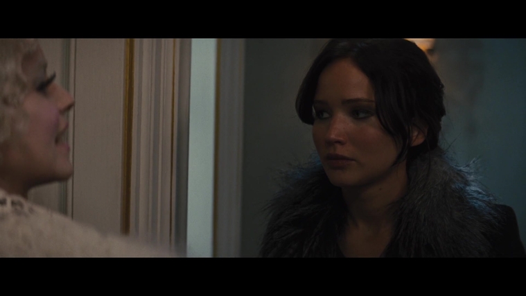 The_Hunger_Games_Catching_Fire_2013_1080p_BluRay_x264_AAC_-_Ozlem_00993.jpg