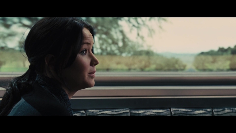 The_Hunger_Games_Catching_Fire_2013_1080p_BluRay_x264_AAC_-_Ozlem_01301.jpg