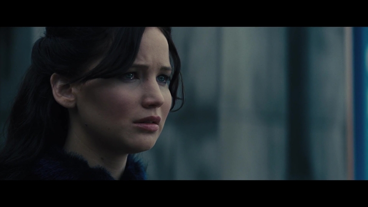 The_Hunger_Games_Catching_Fire_2013_1080p_BluRay_x264_AAC_-_Ozlem_01655.jpg