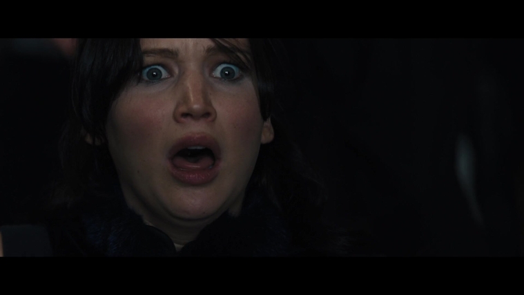 The_Hunger_Games_Catching_Fire_2013_1080p_BluRay_x264_AAC_-_Ozlem_01716.jpg