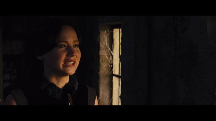 The_Hunger_Games_Catching_Fire_2013_1080p_BluRay_x264_AAC_-_Ozlem_01746.jpg
