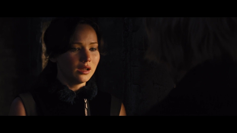 The_Hunger_Games_Catching_Fire_2013_1080p_BluRay_x264_AAC_-_Ozlem_01760.jpg