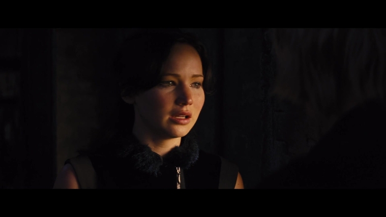 The_Hunger_Games_Catching_Fire_2013_1080p_BluRay_x264_AAC_-_Ozlem_01763.jpg