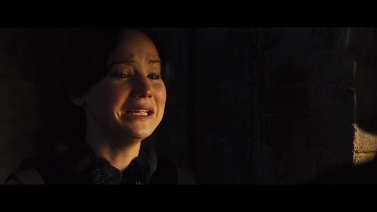 The_Hunger_Games_Catching_Fire_2013_1080p_BluRay_x264_AAC_-_Ozlem_01786.jpg