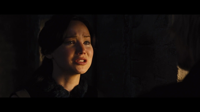 The_Hunger_Games_Catching_Fire_2013_1080p_BluRay_x264_AAC_-_Ozlem_01788.jpg
