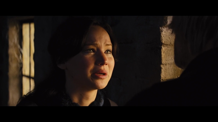 The_Hunger_Games_Catching_Fire_2013_1080p_BluRay_x264_AAC_-_Ozlem_01791.jpg