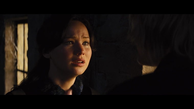 The_Hunger_Games_Catching_Fire_2013_1080p_BluRay_x264_AAC_-_Ozlem_01796.jpg