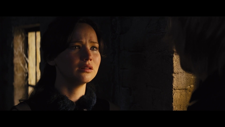 The_Hunger_Games_Catching_Fire_2013_1080p_BluRay_x264_AAC_-_Ozlem_01809.jpg