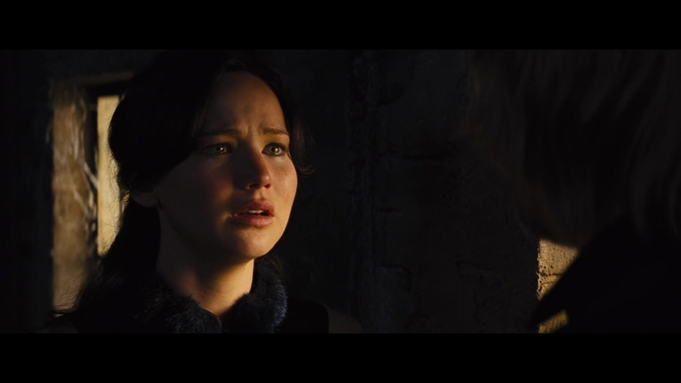 The_Hunger_Games_Catching_Fire_2013_1080p_BluRay_x264_AAC_-_Ozlem_01811.jpg