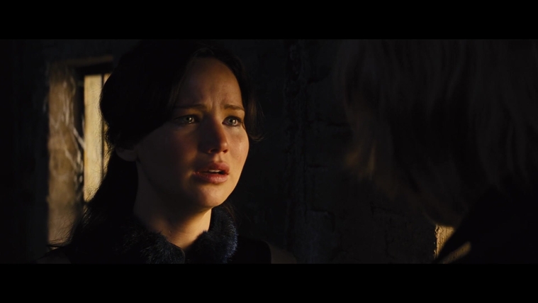 The_Hunger_Games_Catching_Fire_2013_1080p_BluRay_x264_AAC_-_Ozlem_01813.jpg