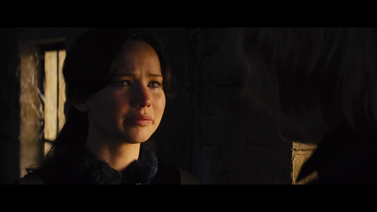 The_Hunger_Games_Catching_Fire_2013_1080p_BluRay_x264_AAC_-_Ozlem_01817.jpg