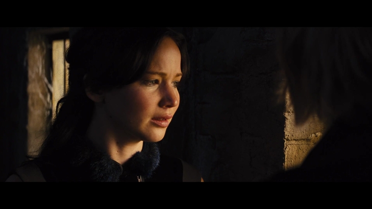 The_Hunger_Games_Catching_Fire_2013_1080p_BluRay_x264_AAC_-_Ozlem_01824.jpg