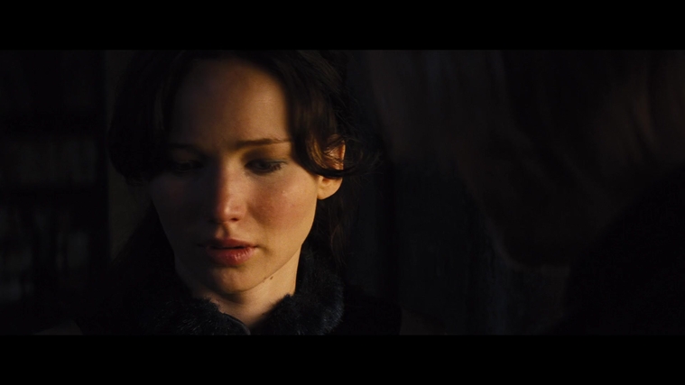 The_Hunger_Games_Catching_Fire_2013_1080p_BluRay_x264_AAC_-_Ozlem_01841.jpg