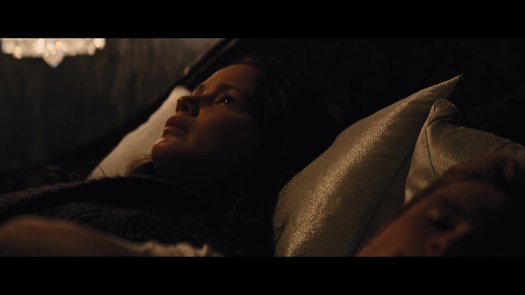 The_Hunger_Games_Catching_Fire_2013_1080p_BluRay_x264_AAC_-_Ozlem_02590.jpg