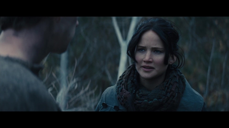 The_Hunger_Games_Catching_Fire_2013_1080p_BluRay_x264_AAC_-_Ozlem_02809.jpg