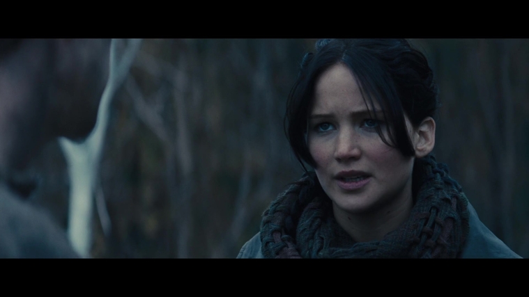 The_Hunger_Games_Catching_Fire_2013_1080p_BluRay_x264_AAC_-_Ozlem_02817.jpg